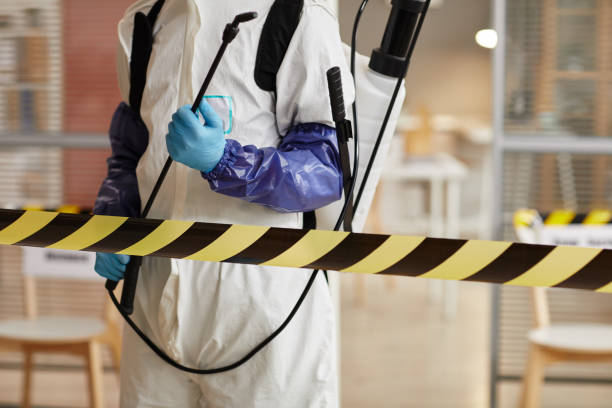 Professional Sewage Cleanup technician working in Greenland, AR